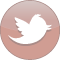 Tweet